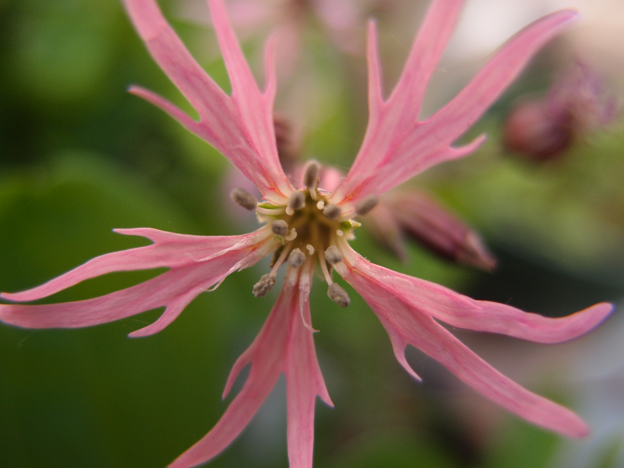 2019-04-24 wendel - der Garten